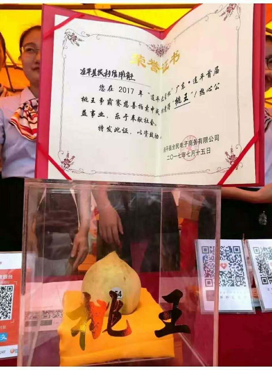 蜜桃视频app下载——畅享极致娱乐体验，开启你的视听新世界