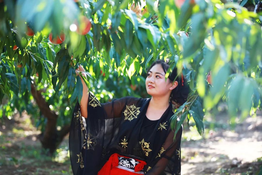 蜜桃视频app下载——畅享极致娱乐体验，开启你的视听新世界
