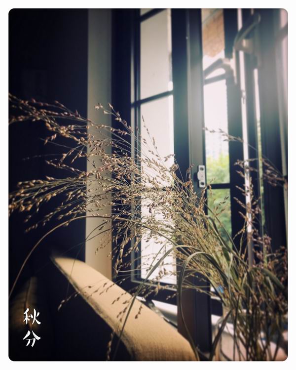 发现“我是蜜桃姐姐”的精彩世界，畅享无限欢乐！