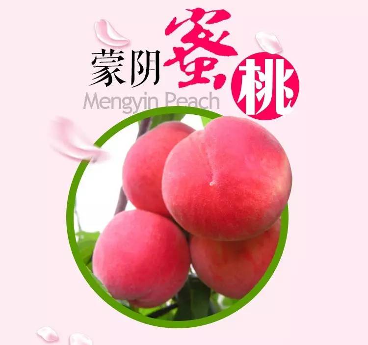 蜜桃影业：打造属于你的娱乐梦想