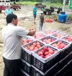 蜜桃在线观看：享受无限精彩，畅游视频新世