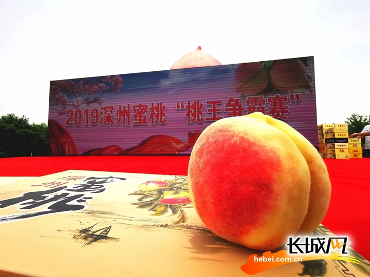 探索“youwu视频”：开启全新娱乐体验的无尽乐趣