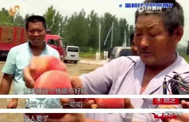 蜜桃视频网页版——追求极致娱乐体验的首选平台