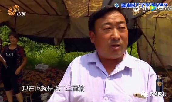 蜜桃电影：探索电影世界的甘甜与奇迹”