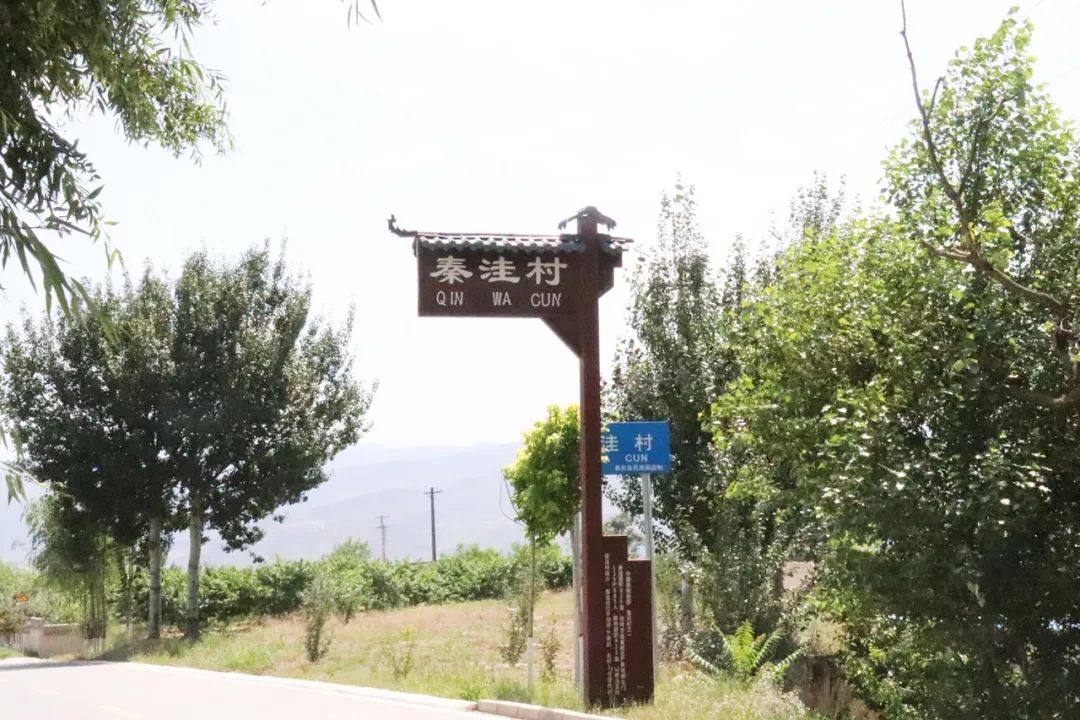 蜜桃免费高清：畅享美好生活的秘密武器